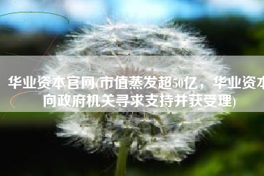 华业资本官网(市值蒸发超50亿，华业资本向政府机关寻求支持并获受理)