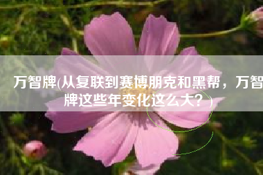 万智牌(从复联到赛博朋克和黑帮，万智牌这些年变化这么大？)