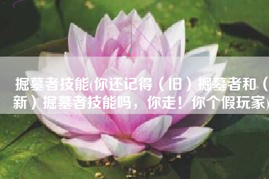 掘墓者技能(你还记得（旧）掘墓者和（新）掘墓者技能吗，你走！你个假玩家)