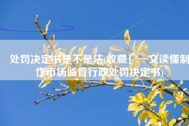 处罚决定书是不是法(收藏！一文读懂制作市场监管行政处罚决定书)