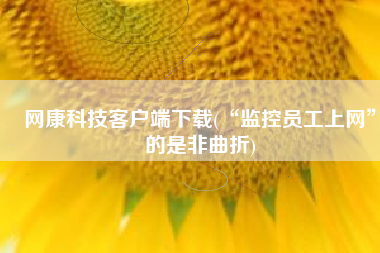 网康科技客户端下载(“监控员工上网”的是非曲折)