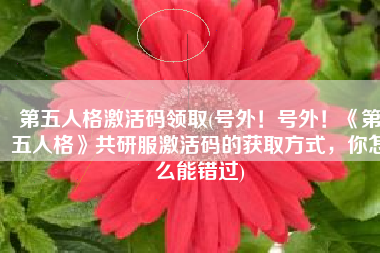 第五人格激活码领取(号外！号外！《第五人格》共研服激活码的获取方式，你怎么能错过)