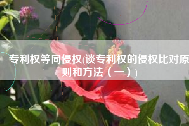 专利权等同侵权(谈专利权的侵权比对原则和方法（一）)