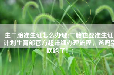 生二胎准生证怎么办理(二胎也要准生证，计划生育部官方超详细办理流程，爸妈别瞎跑了！)