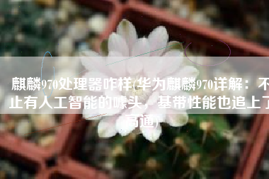 麒麟970处理器咋样(华为麒麟970详解：不止有人工智能的噱头，基带性能也追上了高通)