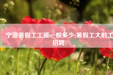 宁波暑假工工资一般多少(暑假工大龄工招聘)