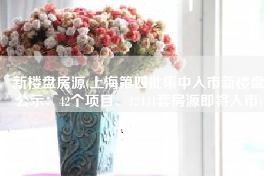 新楼盘房源(上海第四批集中入市新楼盘公示：42个项目、12441套房源即将入市)