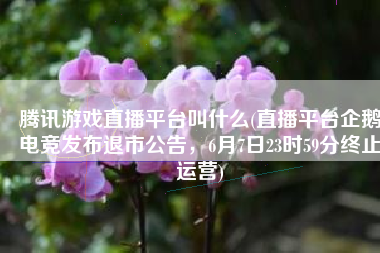 腾讯游戏直播平台叫什么(直播平台企鹅电竞发布退市公告，6月7日23时59分终止运营)