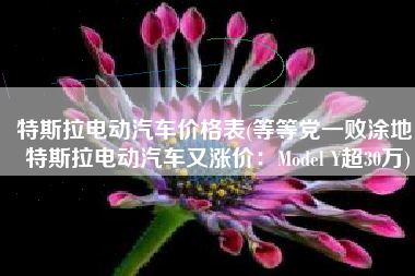 特斯拉电动汽车价格表(等等党一败涂地！特斯拉电动汽车又涨价：Model Y超30万)