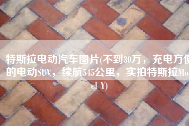特斯拉电动汽车图片(不到30万，充电方便的电动SUV，续航545公里，实拍特斯拉Model Y)