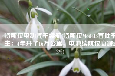 特斯拉电动汽车续航(特斯拉Model3首批车主：4年开了16万公里，电池续航仅衰减2.2%)