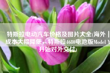 特斯拉电动汽车价格及图片大全(海外｜成本大幅降低，特斯拉4680电池版Model Y开始对外交付)