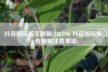 抖音国际版无限制(TIKTOK 抖音国际版 上传视频注意事项)
