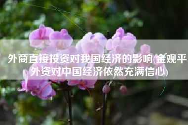 外商直接投资对我国经济的影响(金观平：外资对中国经济依然充满信心)