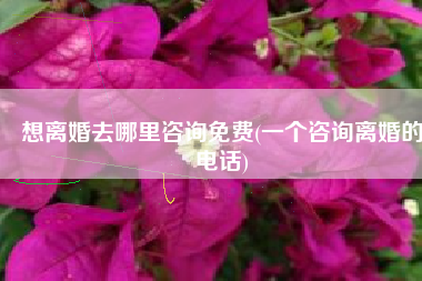 想离婚去哪里咨询免费(一个咨询离婚的电话)