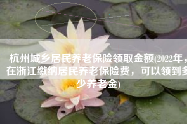 杭州城乡居民养老保险领取金额(2022年，在浙江缴纳居民养老保险费，可以领到多少养老金)
