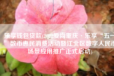 乐享钱包贷款(2022爱尚重庆·乐享“五一”数币惠民消费活动暨江北区数字人民币场景应用推广正式启动)