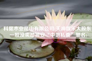 科冕木业昆山有限公司(天神娱乐大股东：一股没卖却被安“中饱私囊”罪名)