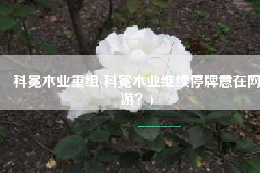 科冕木业重组(科冕木业继续停牌意在网游？)