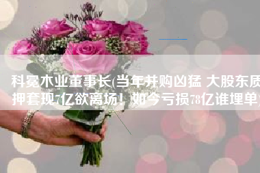 科冕木业董事长(当年并购凶猛 大股东质押套现7亿欲离场！如今亏损78亿谁埋单)