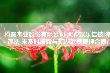 科冕木业股份有限公司(天神娱乐信披3宗违法 未及时披露与芜湖歌斐质押合同)