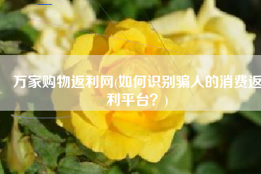 万家购物返利网(如何识别骗人的消费返利平台？)