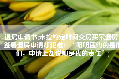 退房申请书(未按约定时间交房买家退房，签署退房申请却犯难：“明明违约的是他们，申请上却说都是我的责任”)