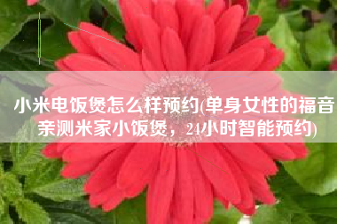 小米电饭煲怎么样预约(单身女性的福音，亲测米家小饭煲，24小时智能预约)