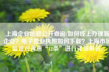上海企业信息公开查询(如何线上办理新企业？电子营业执照如何下载？上海市场监管对普惠“12条”进行详细解答)