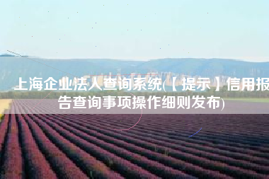 上海企业法人查询系统(【提示】信用报告查询事项操作细则发布)