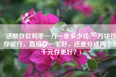 活期存款利率一万一年多少钱(一万块钱存银行，直接存一笔好，还是分成两个五千元存更好？)