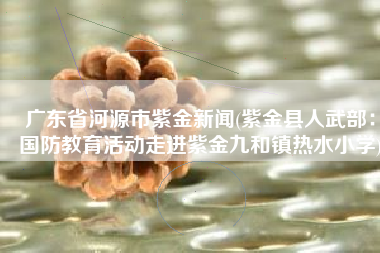 广东省河源市紫金新闻(紫金县人武部：国防教育活动走进紫金九和镇热水小学)