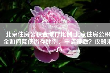 北京住房公积金缴存比例(北京住房公积金如何降低缴存比例、申请缓缴？攻略来了)