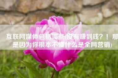 互联网媒体包括哪些(没有赚到钱？！那是因为你根本不懂什么是全网营销)