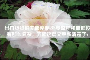 出口货物报关单模板(外贸流程和单据没有那么复杂，弄懂这篇文章就清楚了)