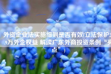 外资企业法实施细则是否有效(立法保护28.9万外企权益 解读广东外商投资条例“亮点”)