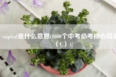 capital是什么意思(1600个中考必考核心词汇（C）)
