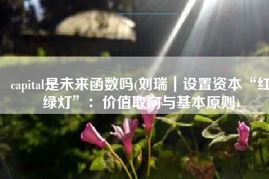 capital是未来函数吗(刘瑞｜设置资本“红绿灯”：价值取向与基本原则)