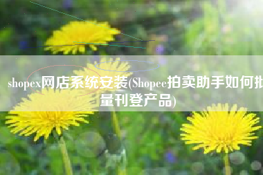 shopex网店系统安装(Shopee拍卖助手如何批量刊登产品)