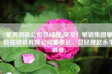 攀钢钢钒公司总经理(突发！攀钢集团攀枝花钢钒有限公司董事长、总经理赵永平被查)