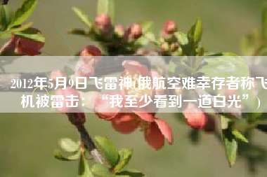 2012年5月9日飞雷神(俄航空难幸存者称飞机被雷击：“我至少看到一道白光”)