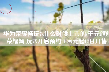 华为荣耀畅玩7x什么时候上市的(千元旗舰荣耀畅 玩7X开启预约 1299元起17日开售)