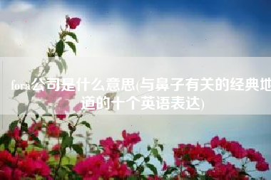 fora公司是什么意思(与鼻子有关的经典地道的十个英语表达)