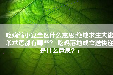 吃鸡缩小安全区什么意思(绝地求生大逃杀术语都有哪些？ 吃鸡落地成盒送快递是什么意思？)