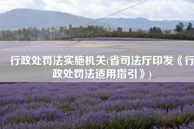 行政处罚法实施机关(省司法厅印发《行政处罚法适用指引》)