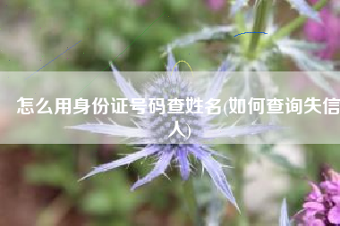 怎么用身份证号码查姓名(如何查询失信人)