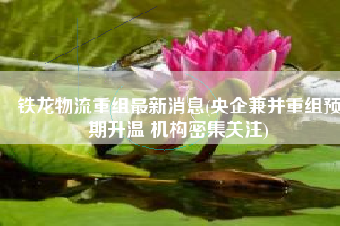 铁龙物流重组最新消息(央企兼并重组预期升温 机构密集关注)