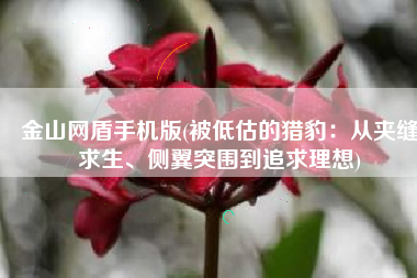 金山网盾手机版(被低估的猎豹：从夹缝求生、侧翼突围到追求理想)