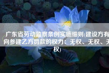 广东省劳动监察条例实施细则(建设方有向参建乙方罚款的权力：无权、无权、无权)