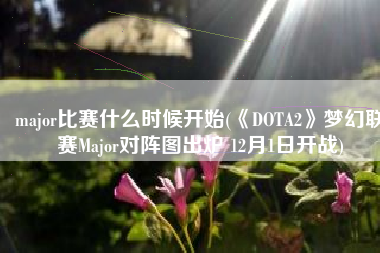 major比赛什么时候开始(《DOTA2》梦幻联赛Major对阵图出炉 12月1日开战)